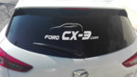 Coche- Pegatina logo centro grande.jpg